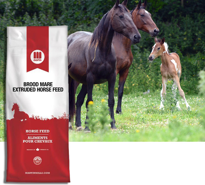 Martin Mills Quality Food For Horses Rabbits Small Pets Pigeons Horses And Feed Bag