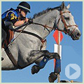 icon horse feed